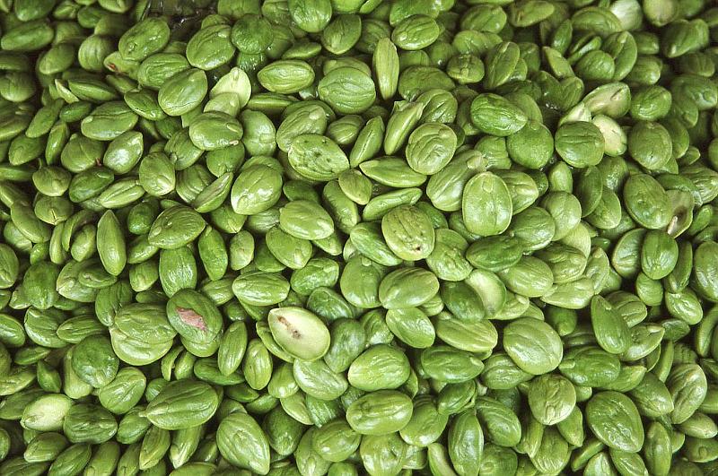 WT 0800 125-22 Thailand.jpg